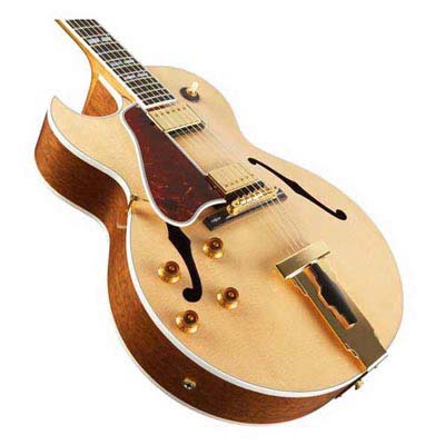 Archtop Hollow Body Electric Guitar