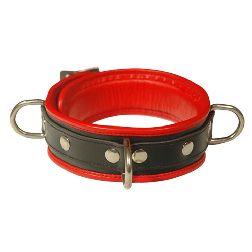 Deluxe 2 inch Leather Collar
