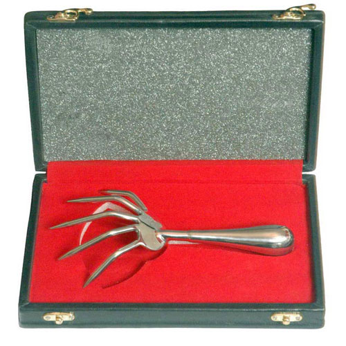 Dragons Claw Stainless Steel Scratcher