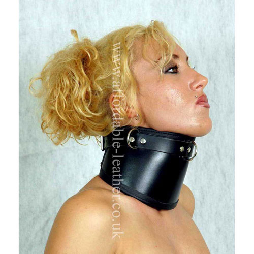 Leather Chin-up Posture Collar with 3 D Rings