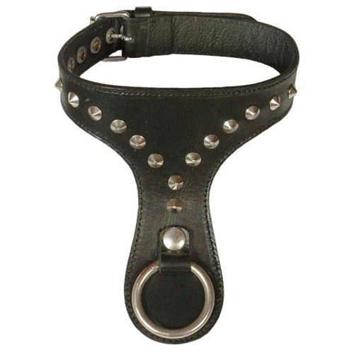 Story of O Leather Collar